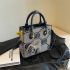 Versatile large capacity women's handbag